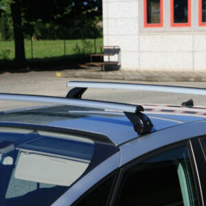 la prealpina 2 LA PREALPINA KROVNI NOSAČ U SREBRNOM ALUMINIJU KOJI SE POSTAVLJA IZMEĐU KROVA I VRATA ILI U FIKSNE TOČKE U KROVU